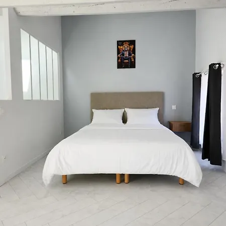 Le Charme De Rue Littre - Guest house Carcassonne